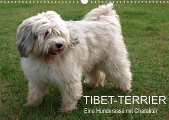 Tibet-Terrier - Eine Hunderasse mit Charakter (Wandkalender 2022 DIN A3 quer)