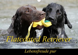 Flatcoated Retriever (Wandkalender 2022 DIN A3 quer)