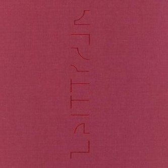 Katja Strunz Zeittraum#9 fur Władysław Strzemiński