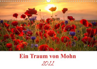Ein Traum von Mohn (Wandkalender 2022 DIN A3 quer)