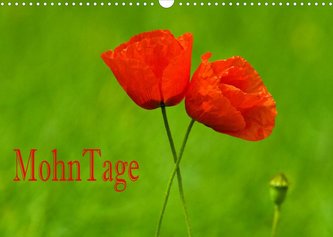 MohnTage (Wandkalender 2022 DIN A3 quer)