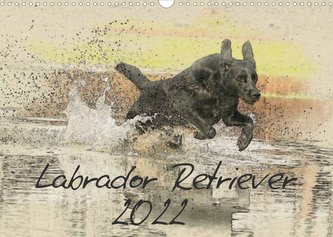 Labrador Retriever 2022 (Wandkalender 2022 DIN A3 quer)