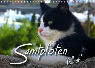 SAMTPFOTEN \"fellnah\" (Wandkalender 2022 DIN A4 quer)