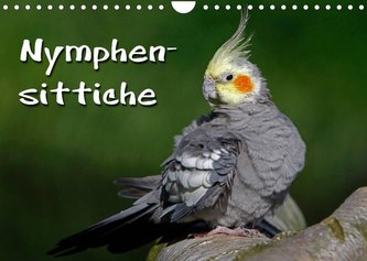 Nymphensittiche (Wandkalender 2022 DIN A4 quer)