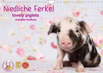 Niedliche Ferkel lovely piglets 2022 (Wandkalender 2022 DIN A4 quer)