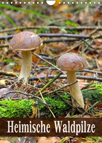 Heimische Waldpilze (Wandkalender 2022 DIN A4 hoch)