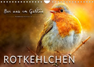 Bei uns im Garten - Rotkehlchen (Wandkalender 2022 DIN A4 quer) Bei uns im Garten - Rotkehlchen (Wandkalender 2022 DIN A4 quer)