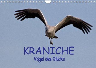 Kraniche - Vögel des Glücks (Wandkalender 2022 DIN A4 quer)