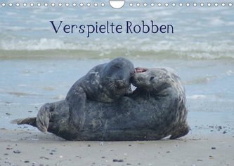 Verspielte Robben (Wandkalender 2022 DIN A4 quer)