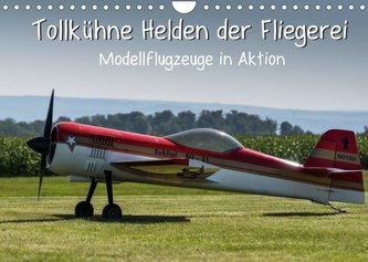 Tollkühne Helden der Fliegerei - Modellflugzeuge in Aktion (Wandkalender 2022 DIN A4 quer)