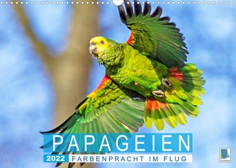Papageien: Farbenpracht im Flug (Wandkalender 2022 DIN A3 quer)