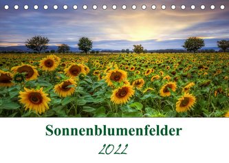 Sonnenblumenfelder (Tischkalender 2022 DIN A5 quer)