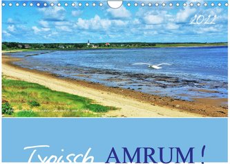 Typisch Amrum! (Wandkalender 2022 DIN A4 quer)