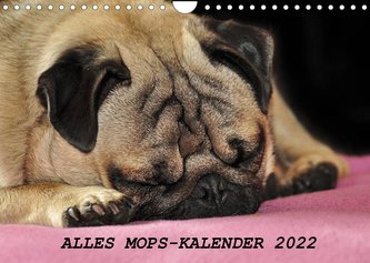 Alles Mops-Kalender 2022 (Wandkalender 2022 DIN A4 quer)