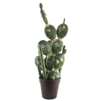 Kaktus mix Europalms Kaktus mix v květináči, 54cm Kaktus mix Europalms Kaktus mix v květináči, 54cm