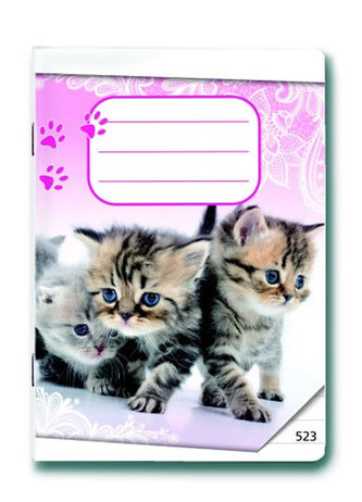 Sešit 523 Koťátka