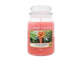 Yankee Candle Aromatická svíčka Classic velká The Last Paradise 623 g unisex