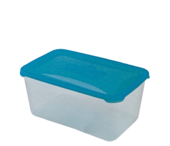 Dóza POLAR 29x19x12cm 5,3l