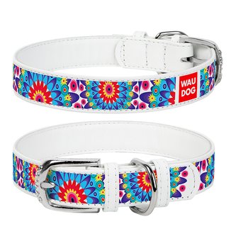Obojek kožený Waudog Flowers bílý (38-49cm/2,5cm)