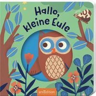 Hallo, kleine Eule