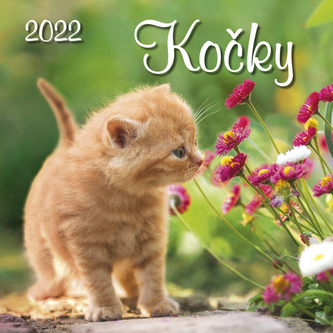 Kalendář 2022 - Kočky, nástěnný