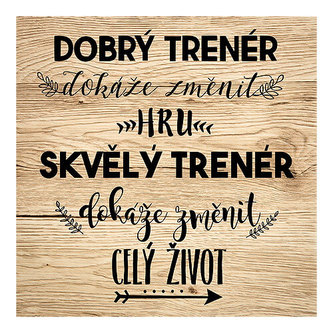 Bohemia Gifts Dekorační obraz na zavěšení 30 x 30 cm - trenér