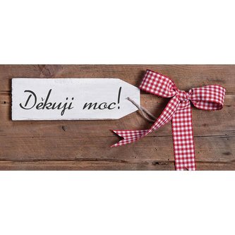 Bohemia Gifts Dárková mléčná čokoláda 100 g - děkuji moc