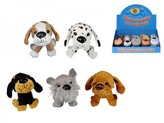 Pes plyš 12cm asst 6 druhů