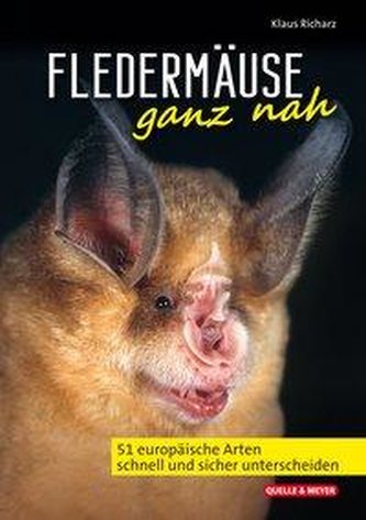Fledermäuse ganz nah Fledermäuse ganz nah