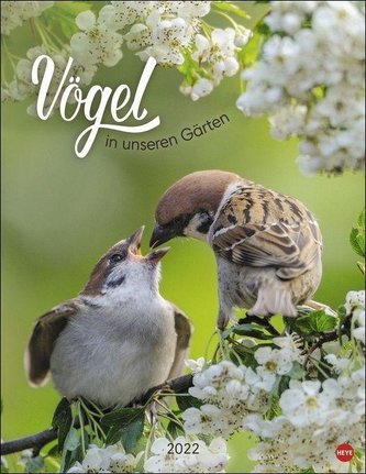 Vögel in unseren Gärten Posterkalender Kalender 2022
