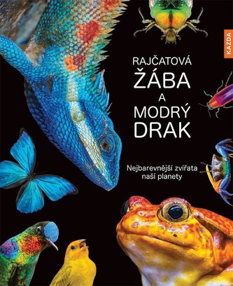 Rajčatová žába a modrý drak : nejbarevnější zvířata naší planety (Andrea Köhrsen, 2021)