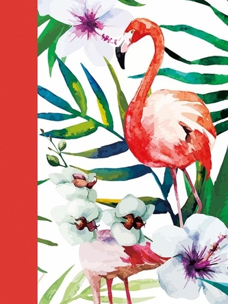 Fotoalbum CONCORDE DXP 4696, 96 foto, 10x15