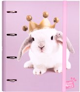 Kroužkový pořadač se spojovací svorkou Studio Pets: Králící - Rabbits (28 x 32 x 7 cm)