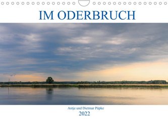 Im Oderbruch (Wandkalender 2022 DIN A4 quer)