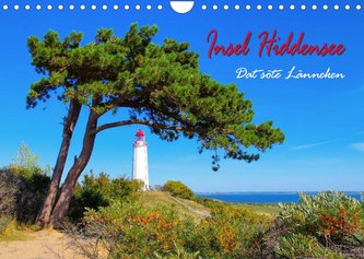 Insel Hiddensee - Dat söte Länneken (Wandkalender 2022 DIN A4 quer)