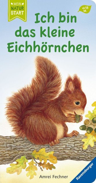 Ich bin das kleine Eichhörnchen