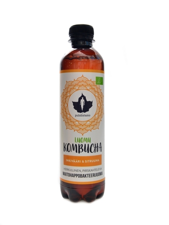 Puhdistamo - Kombucha BIO 370ml ginger lemon