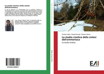 Lo studio cinetico della sintesi dell'ammoniaca