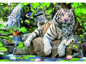 Puzzle Bílý Bengálský tygr 1000d
