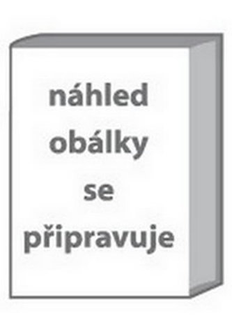 Školní sešit 413 - linkovaný