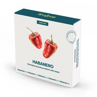 TREGREN Chilli papričky Habanero (kapsle 1 ks 10x10cm a semínka)
