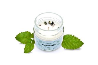 Tropikalia Tropicandle - Melissa (Meduňka)