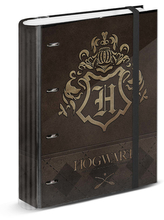 Kroužkový pořadač Harry Potter: Zlatý znak Bradavic (28 x 32 x 4 cm)