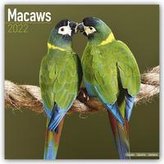 Macaws - Ara-Papageien - Aras 2022