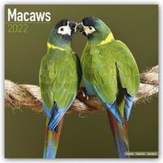 Macaws - Ara-Papageien - Aras 2022
