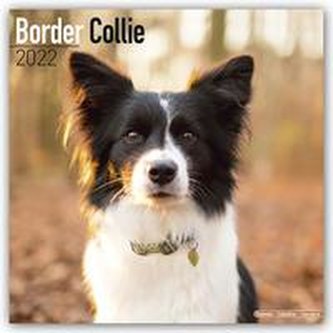 Border Collies 2022 - 18-Monatskalender mit freier DogDays-App