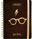 Plánovací diář A5 2021/2022 Harry Potter: Brýle (14,8 x 21 cm)