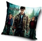 POVLAK NA POLŠTÁŘ HARRY POTTER