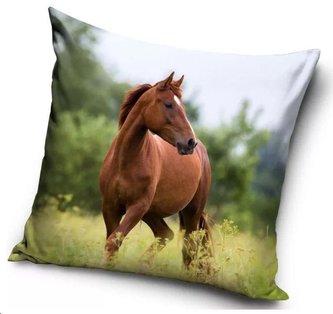 POVLAK NA POLŠTÁŘ KŮŃ