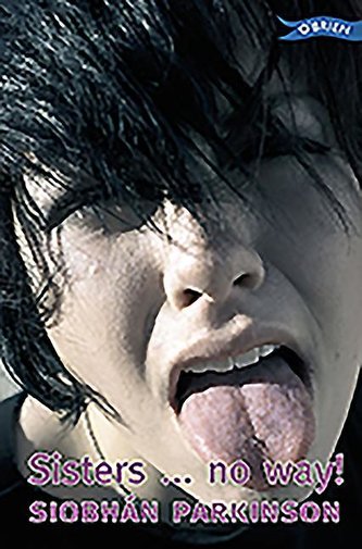 Sisters...No Way!: Cindy's Diary, Ashling's Diary